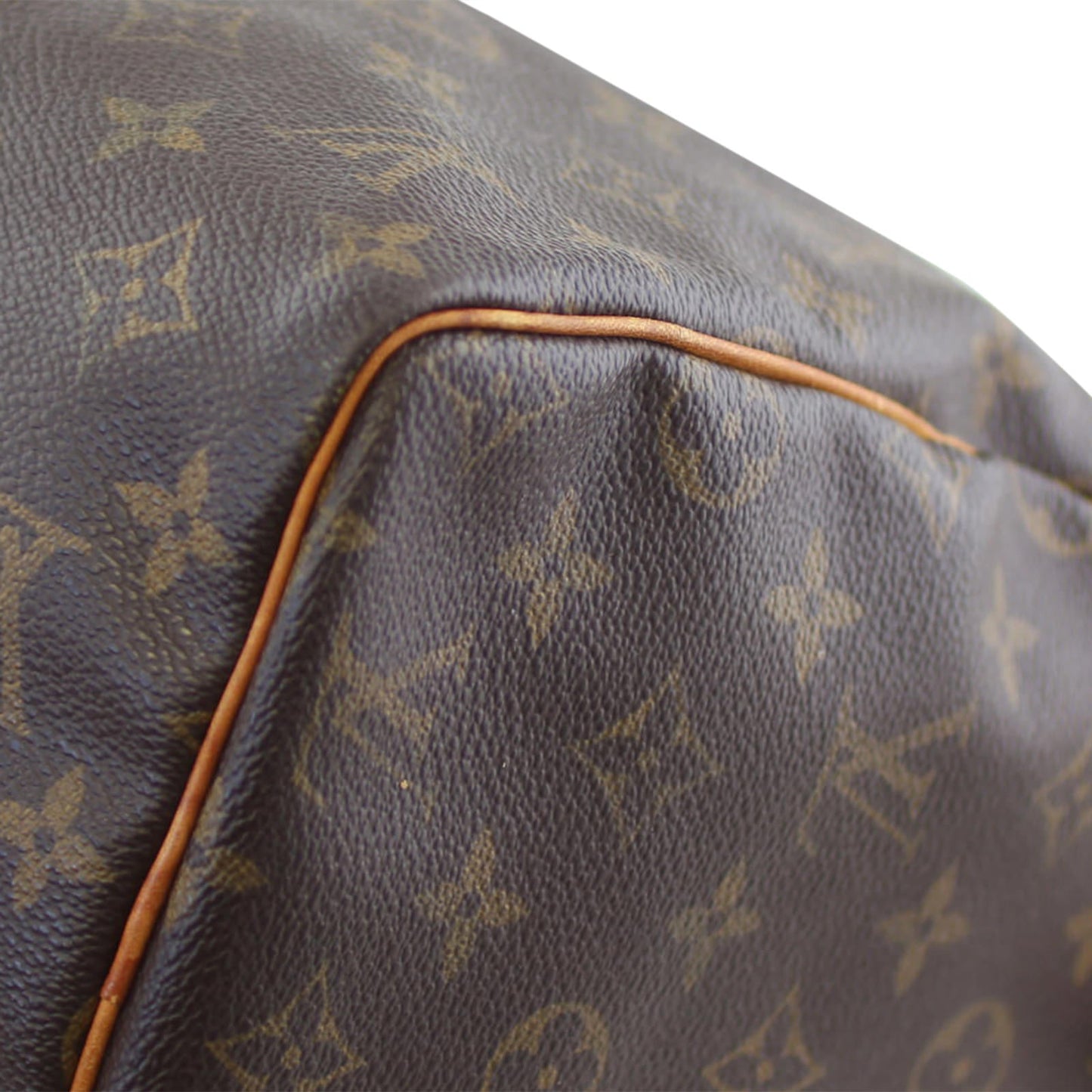 Louis Vuitton Speedy 30 Monogram