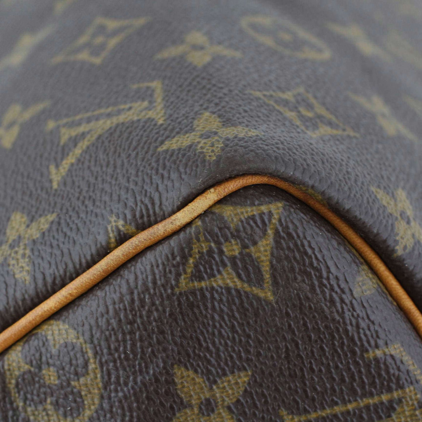 Louis Vuitton Speedy 30 Monogram