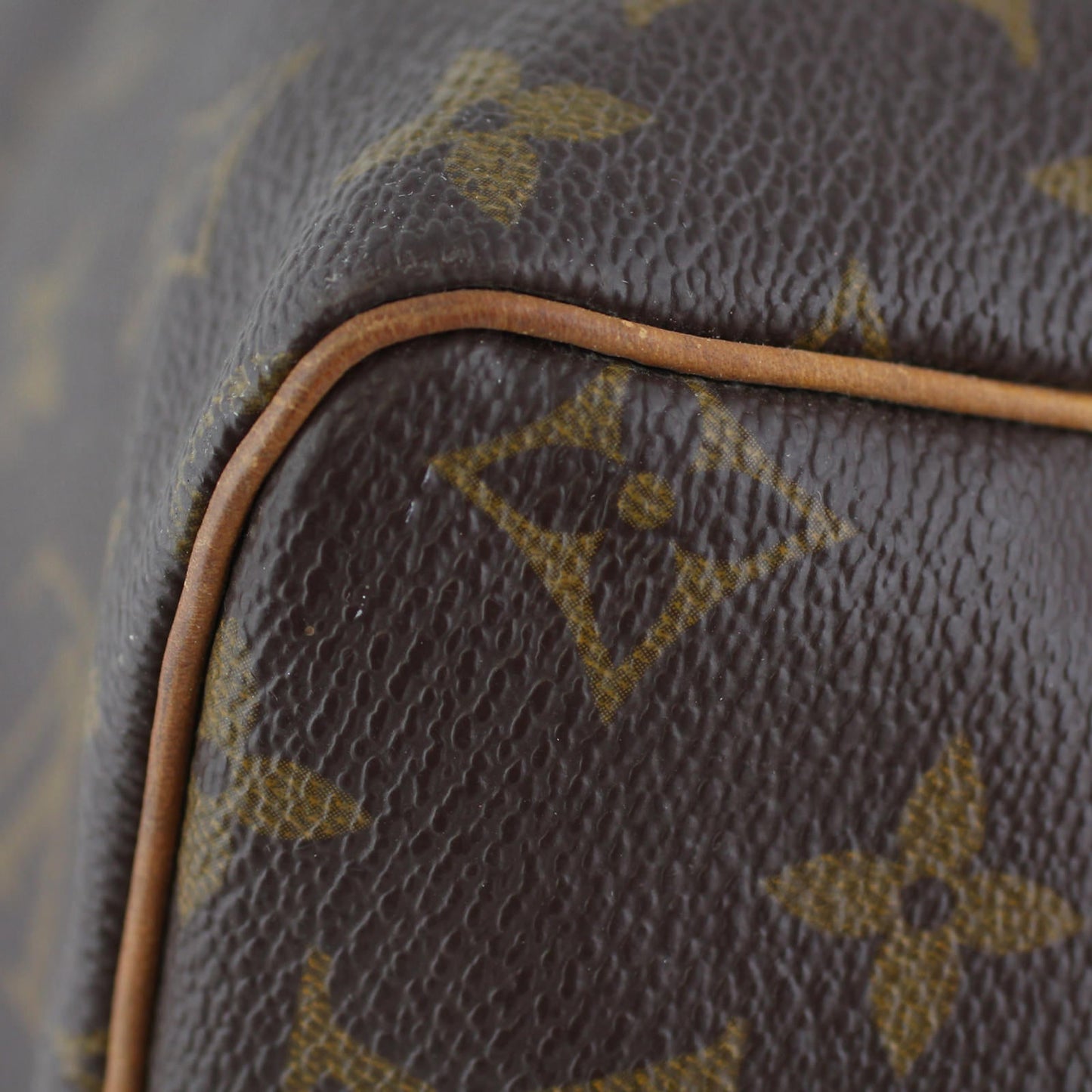 Louis Vuitton Speedy 30 Monogram