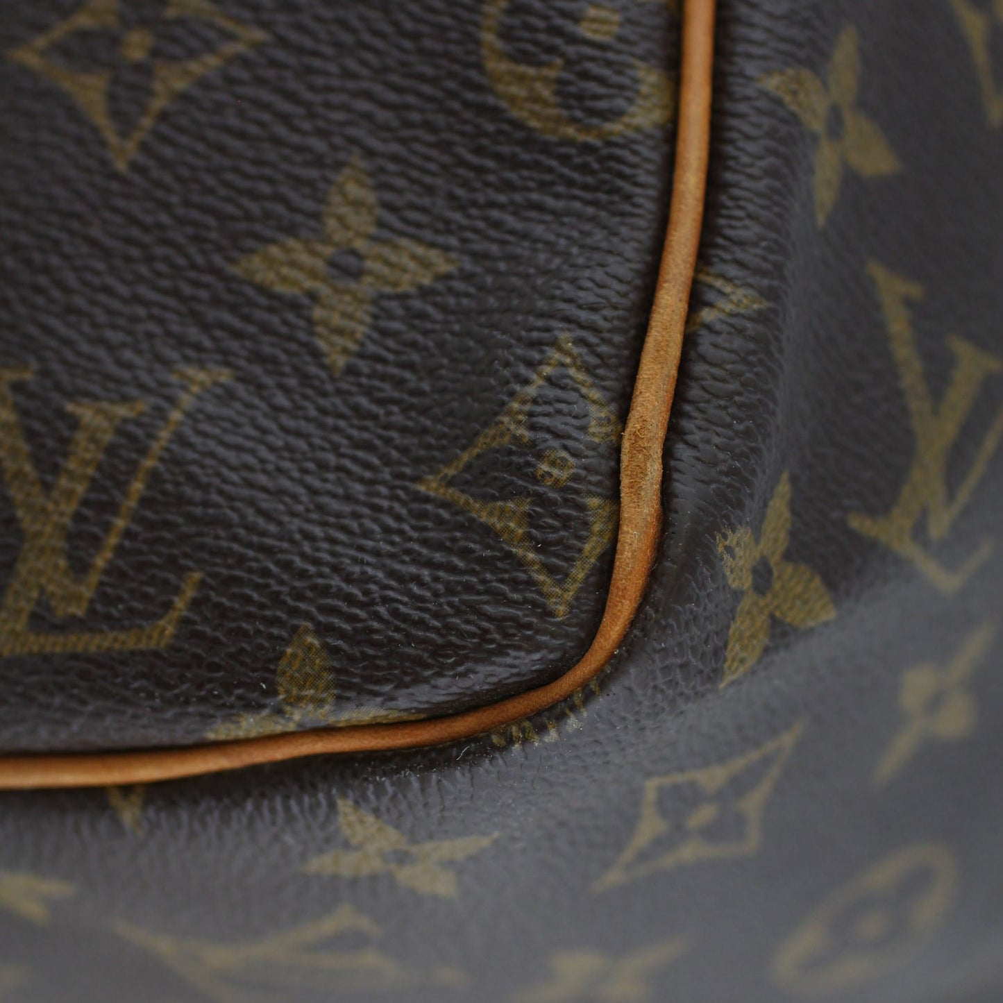 Louis Vuitton Speedy 30 Monogram