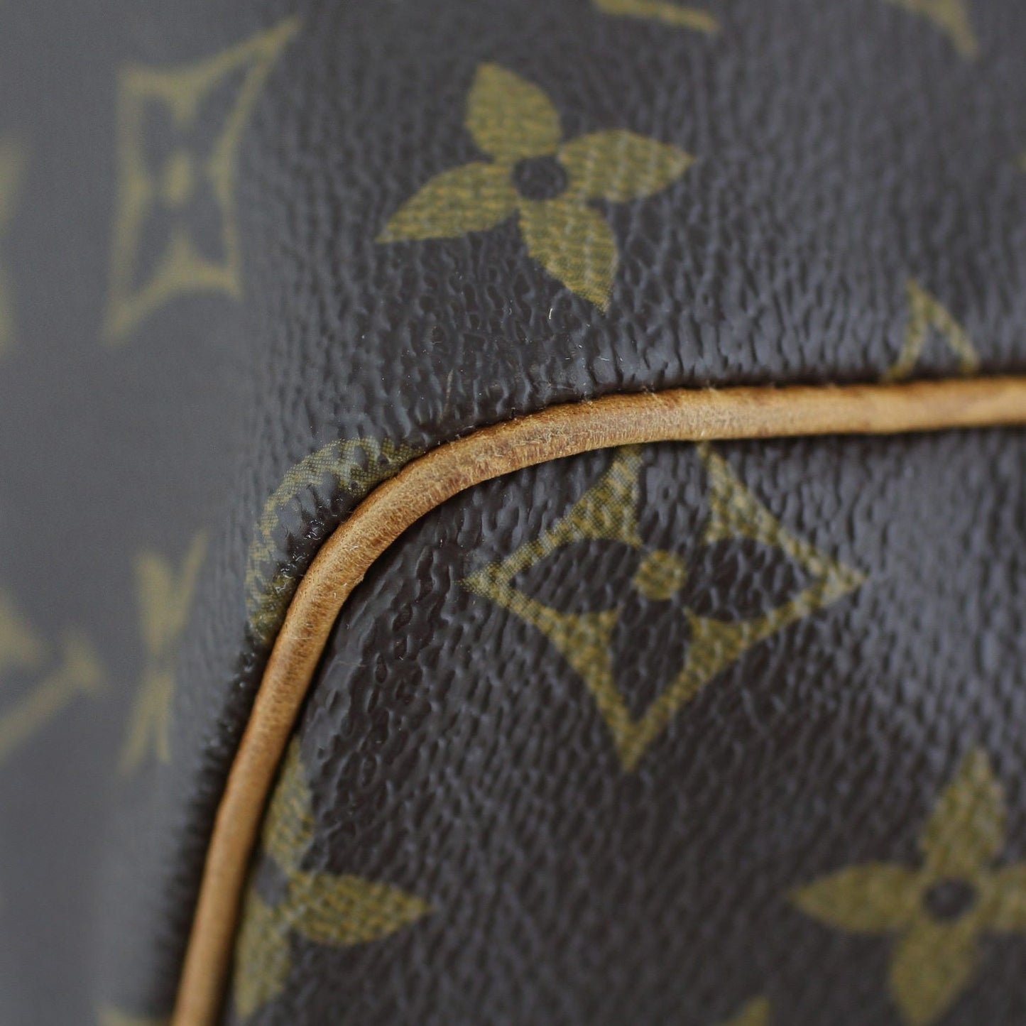 Louis Vuitton Speedy 30 Monogram