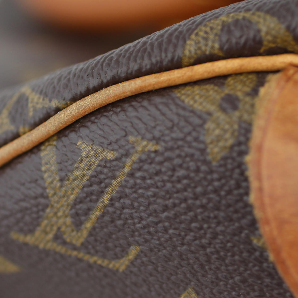 Louis Vuitton Speedy 30 Monogram