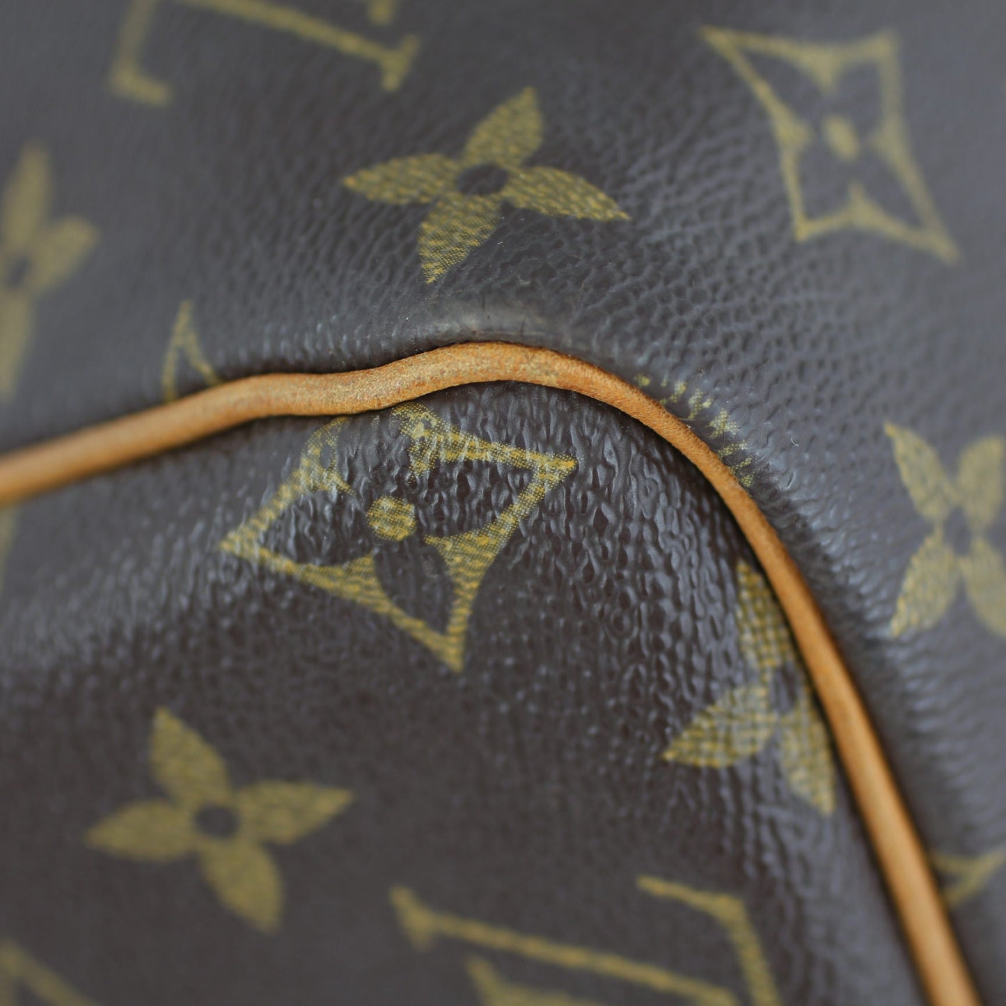 Louis Vuitton Speedy 30 Monogram