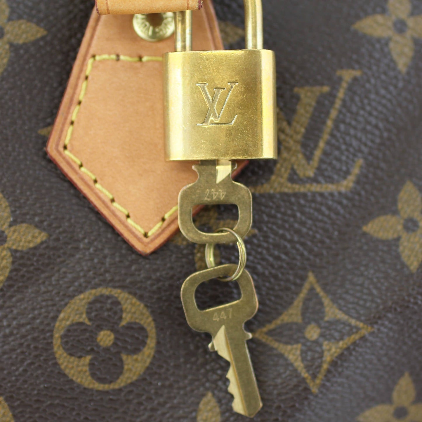 Louis Vuitton Speedy Bandouliere 25 Monogram