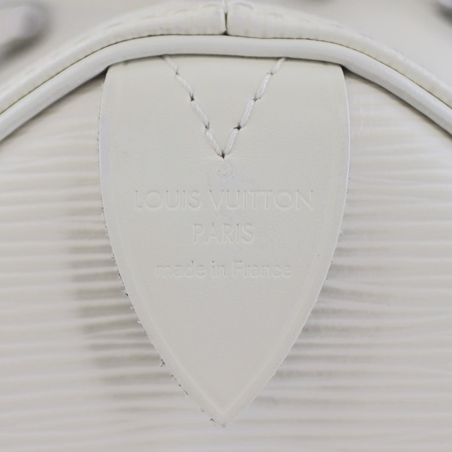 Louis Vuitton Speedy 25 Epi