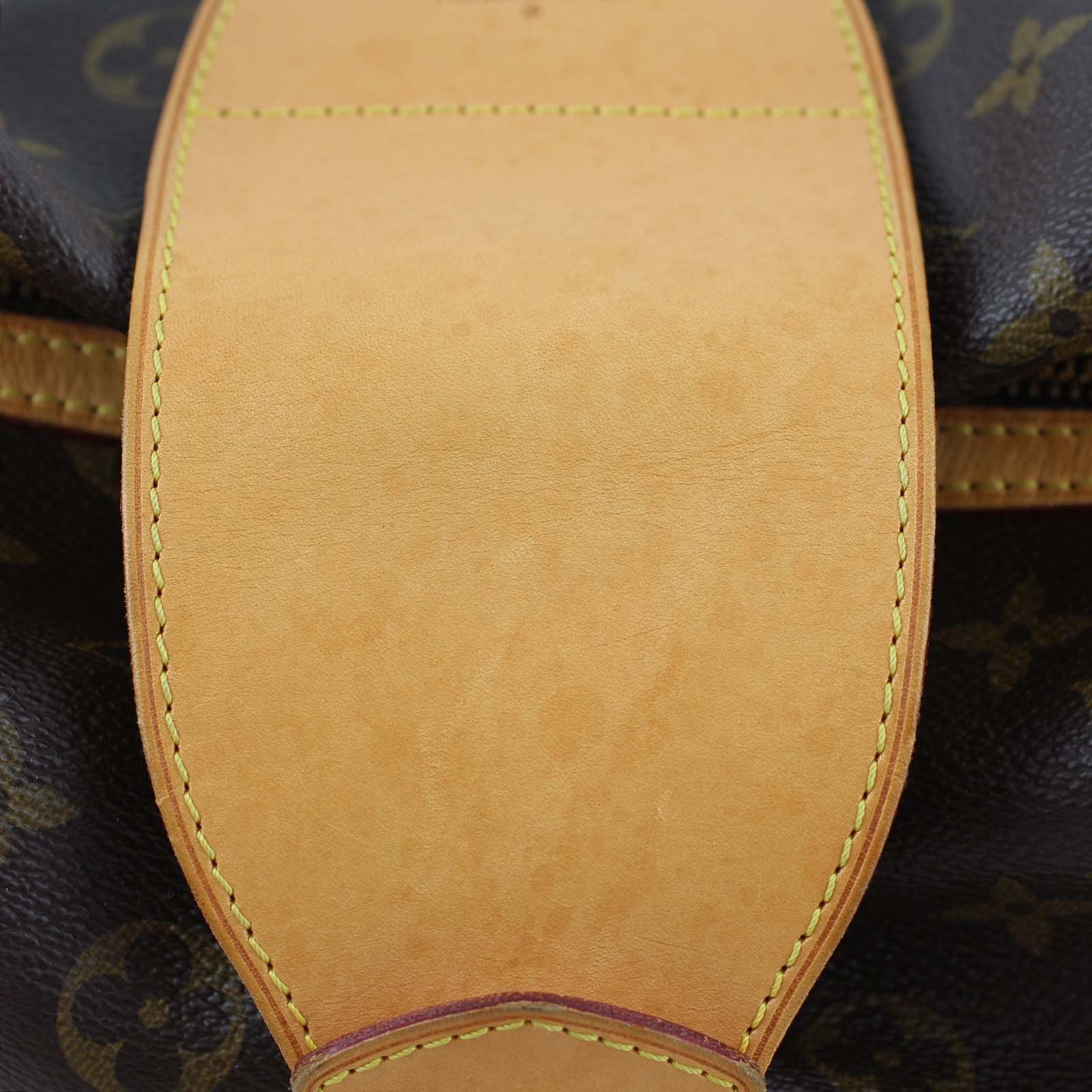 Louis Vuitton Stresa GM