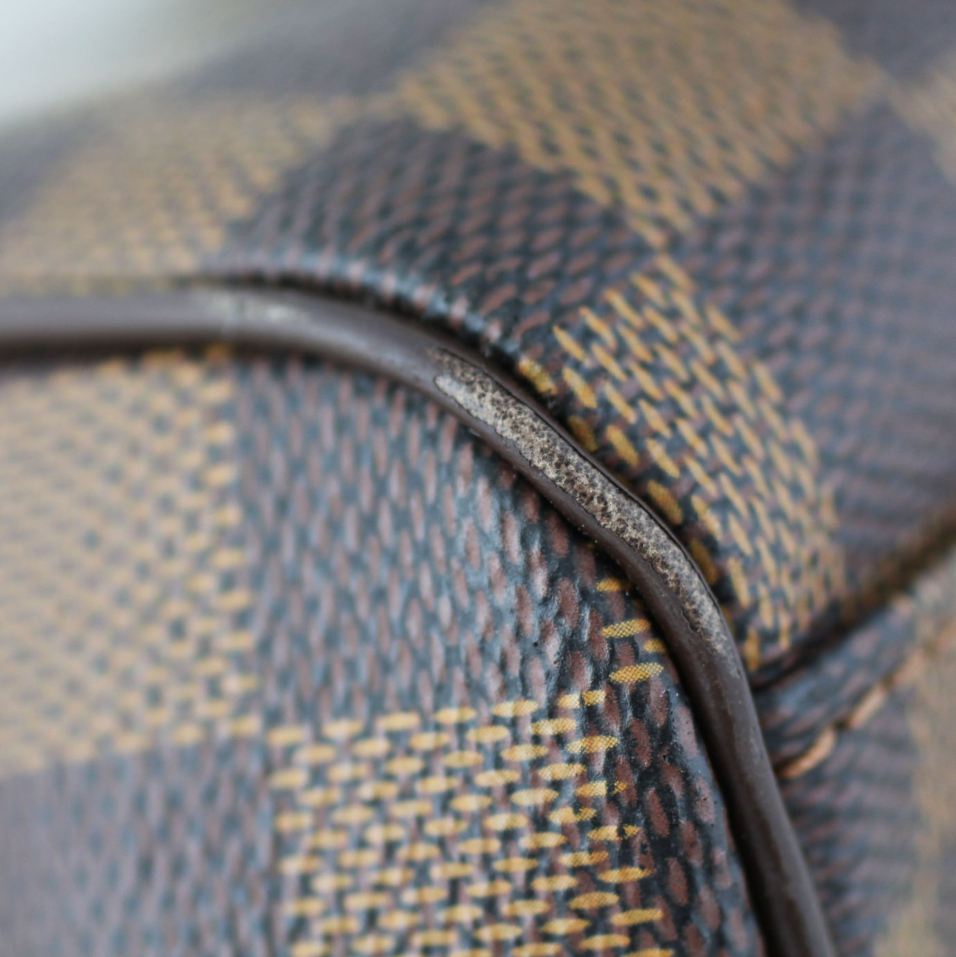 Louis Vuitton Trevi PM Damier Ebene