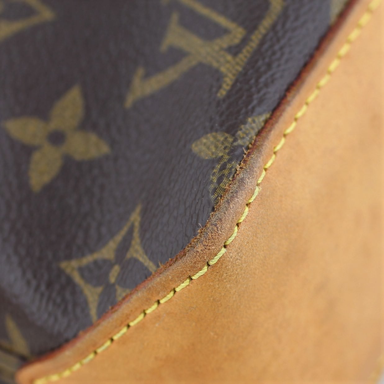 Louis Vuitton Trotteur Monogram