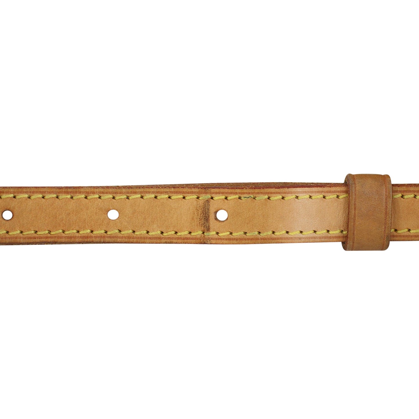 Louis Vuitton Trotteur Monogram