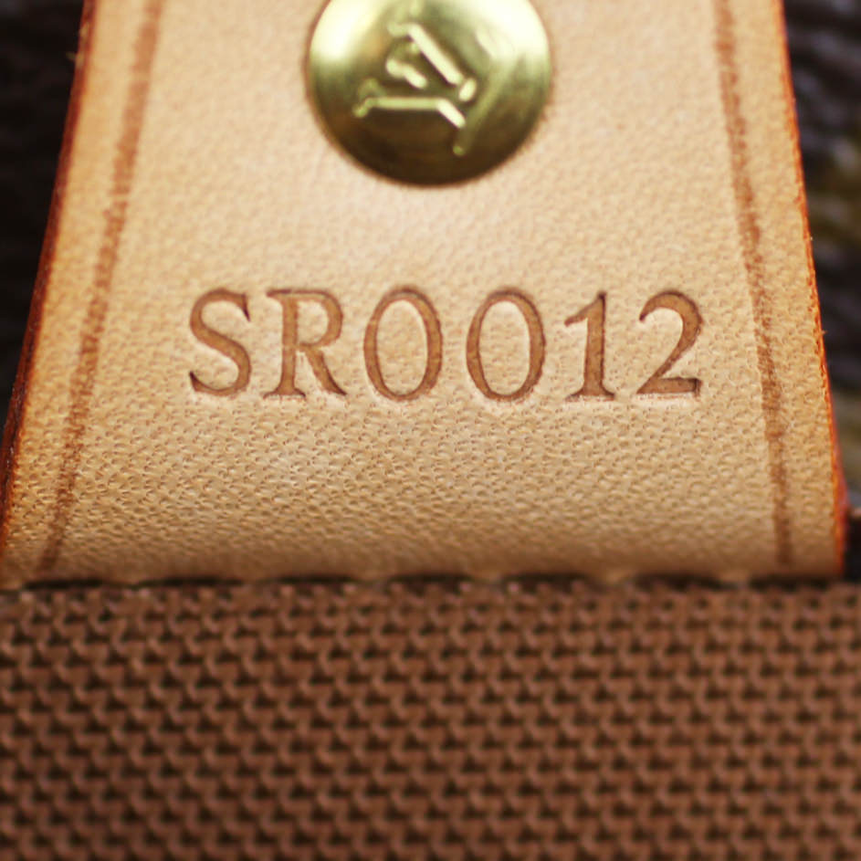 Louis Vuitton Vavin PM Monogram