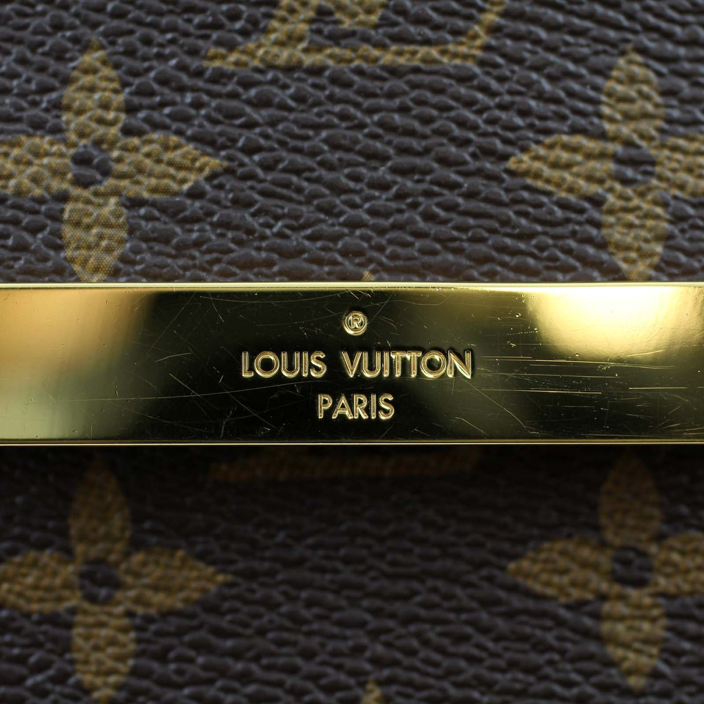 Louis Vuitton Favorite MM Monogram