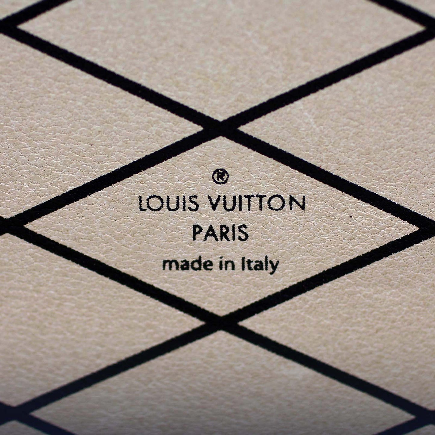 Louis Vuitton Petite Malle Epi