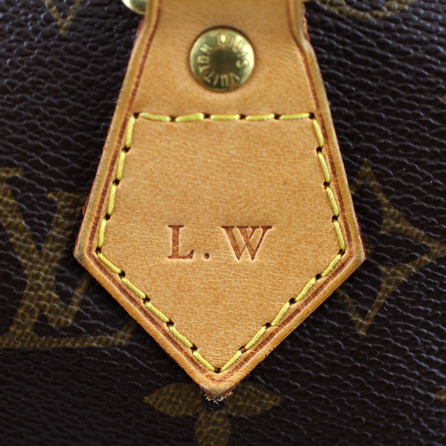 Louis Vuitton Speedy 30 Monogram
