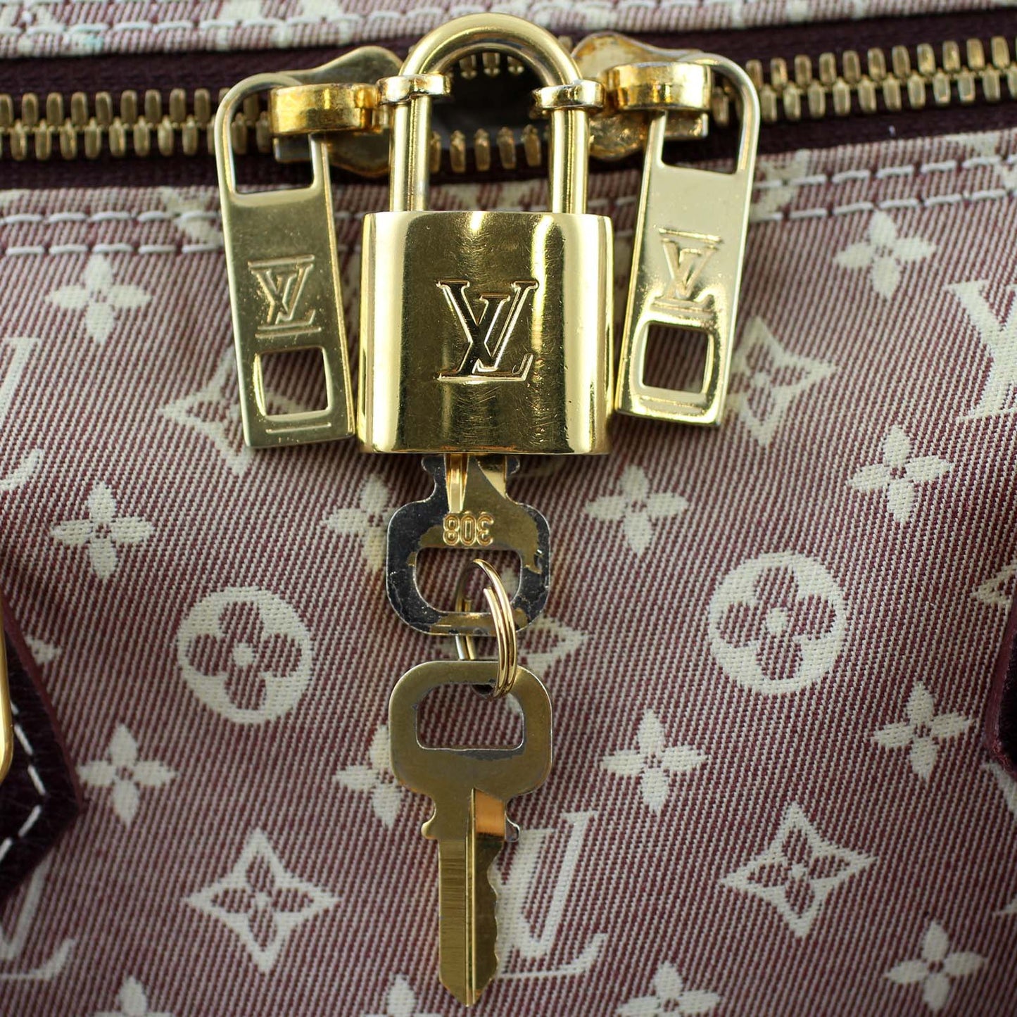 Louis Vuitton Encre Monogram Idylle Speedy 30 Bandouliere
