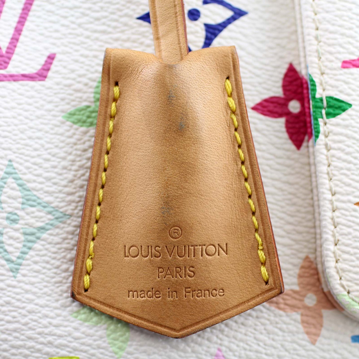 Louis Vuitton Speedy 30 Multicolore