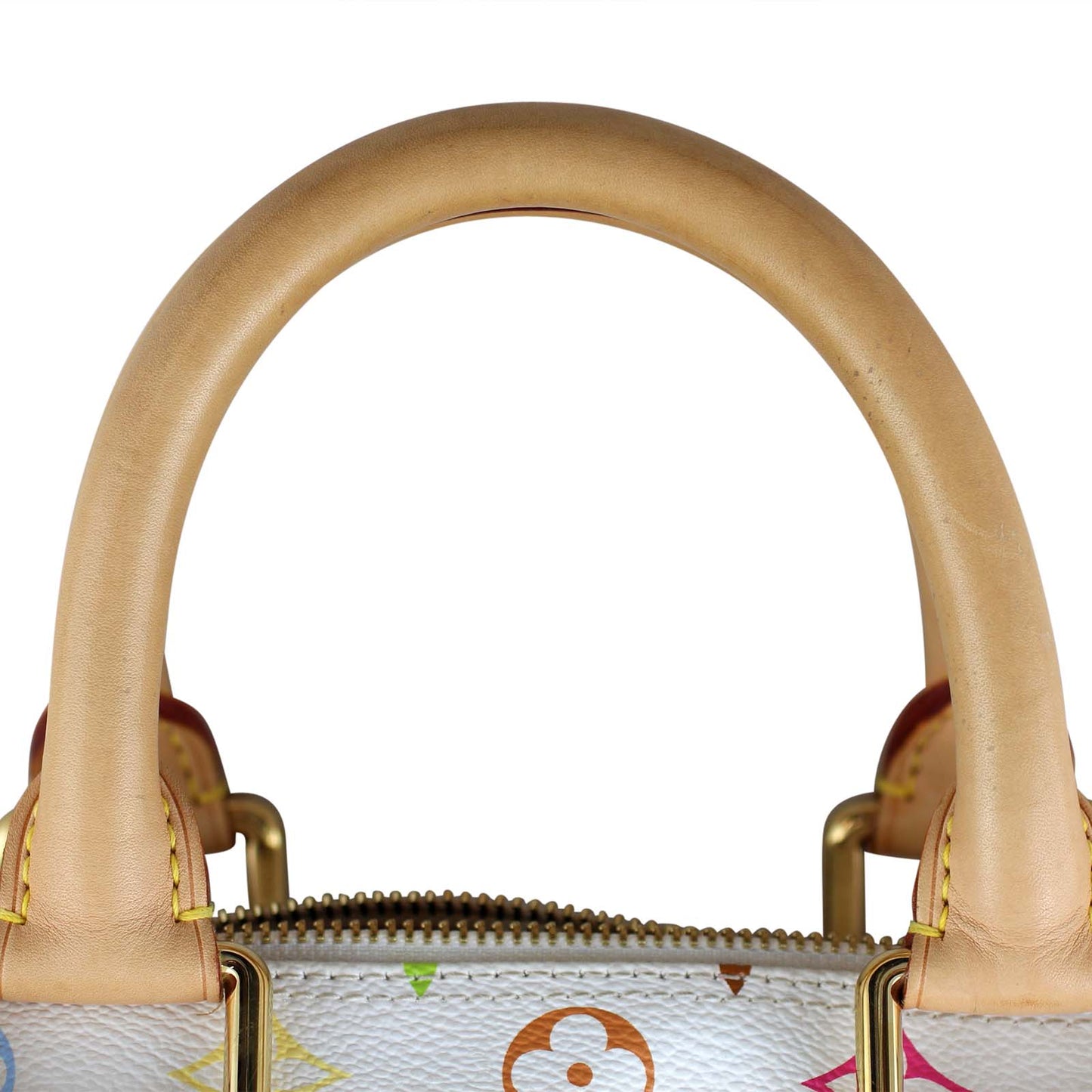 Louis Vuitton Speedy 30 Multicolore