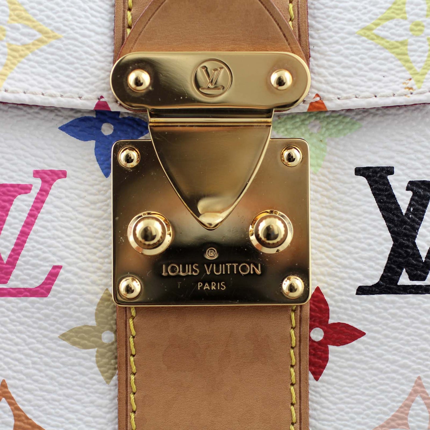 Louis Vuitton Speedy 30 Multicolore
