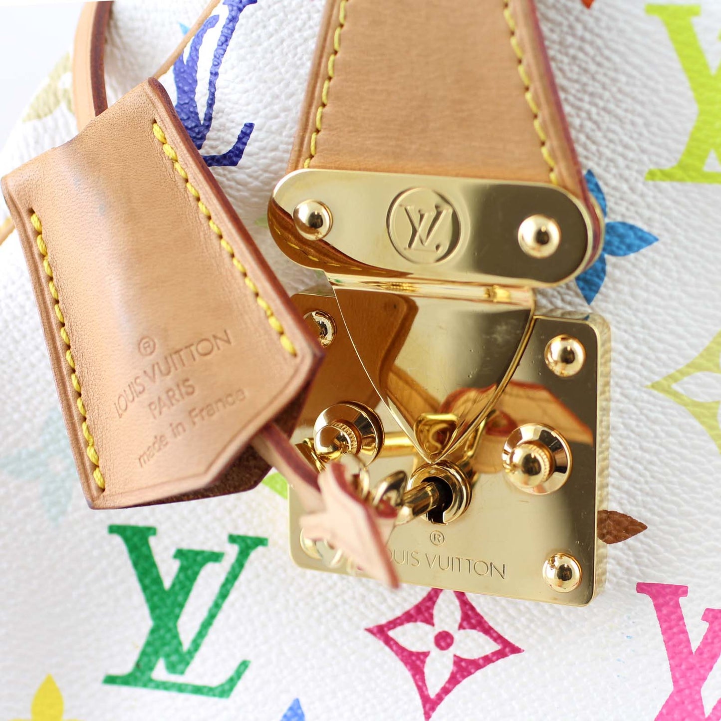 Louis Vuitton Speedy 30 Multicolore