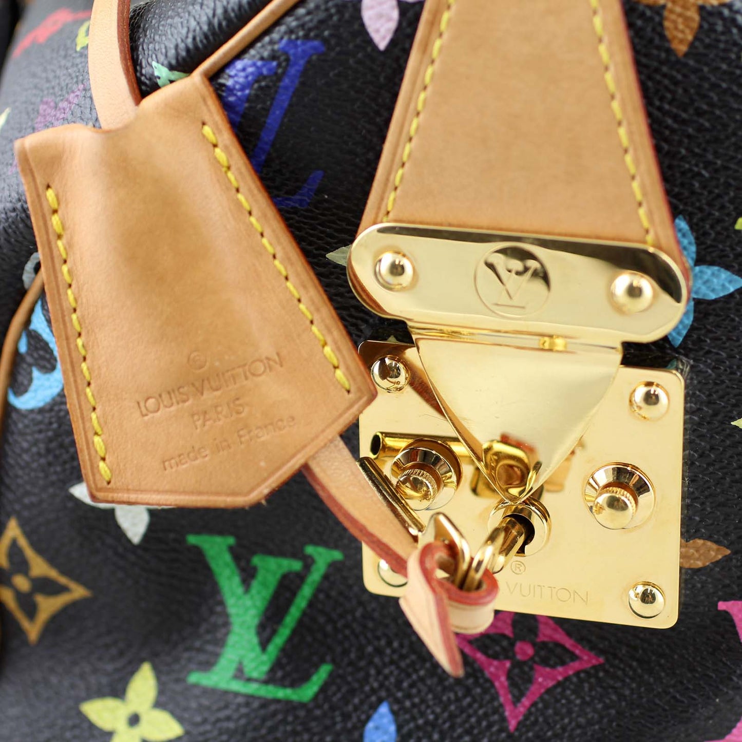 Louis Vuitton Speedy 30 Multicolore