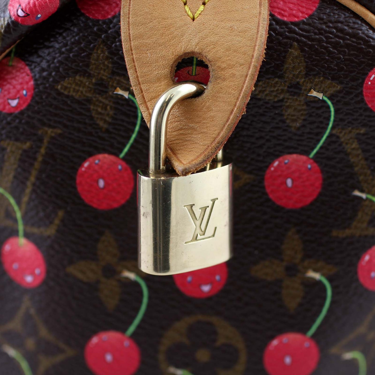 Louis Vuitton Speedy 25 Cerises