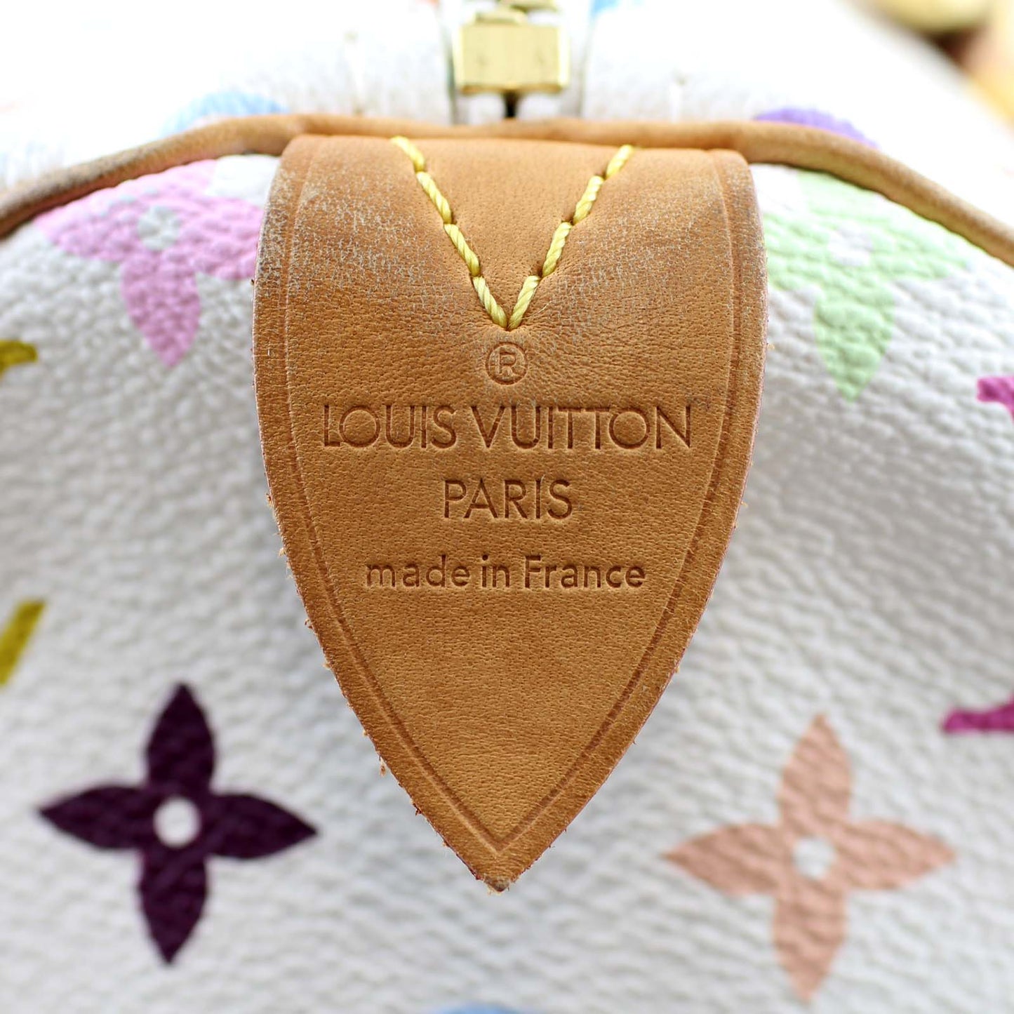 Louis Vuitton Speedy 30 Multicolore