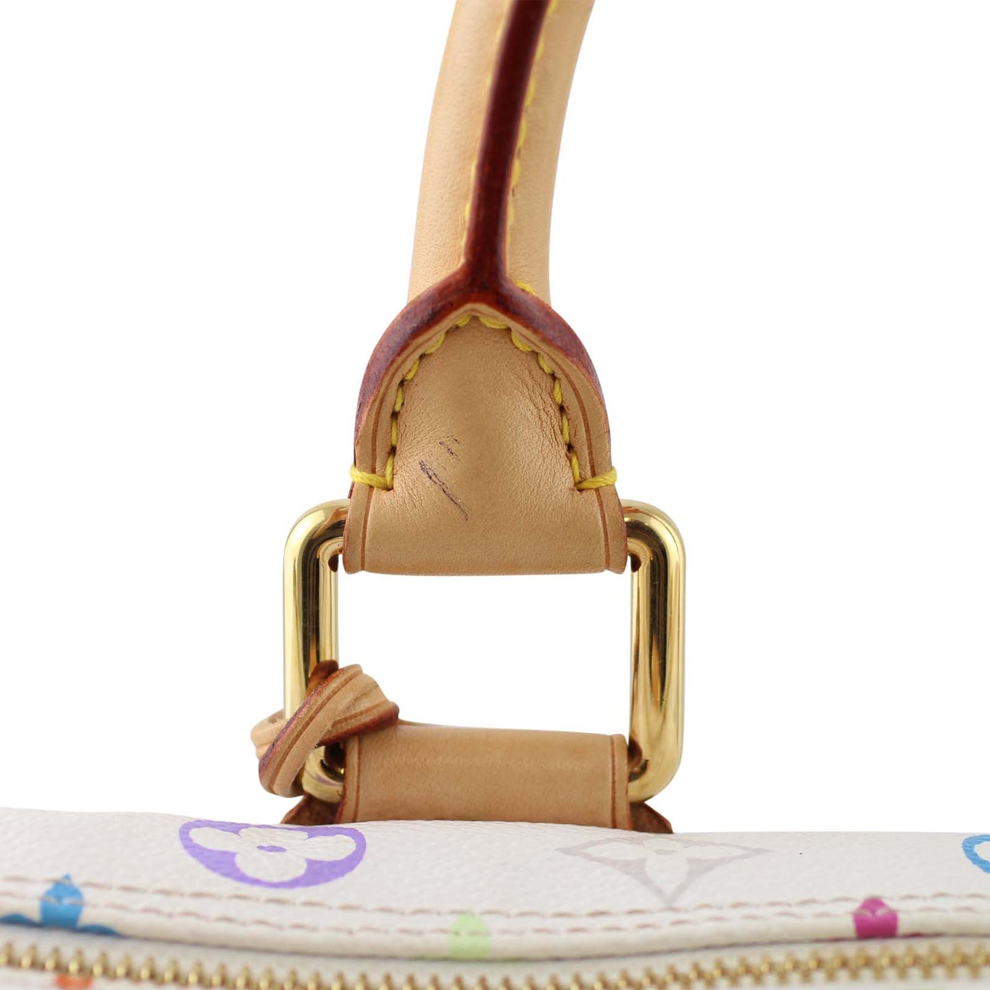 Louis Vuitton Speedy 30 Multicolore