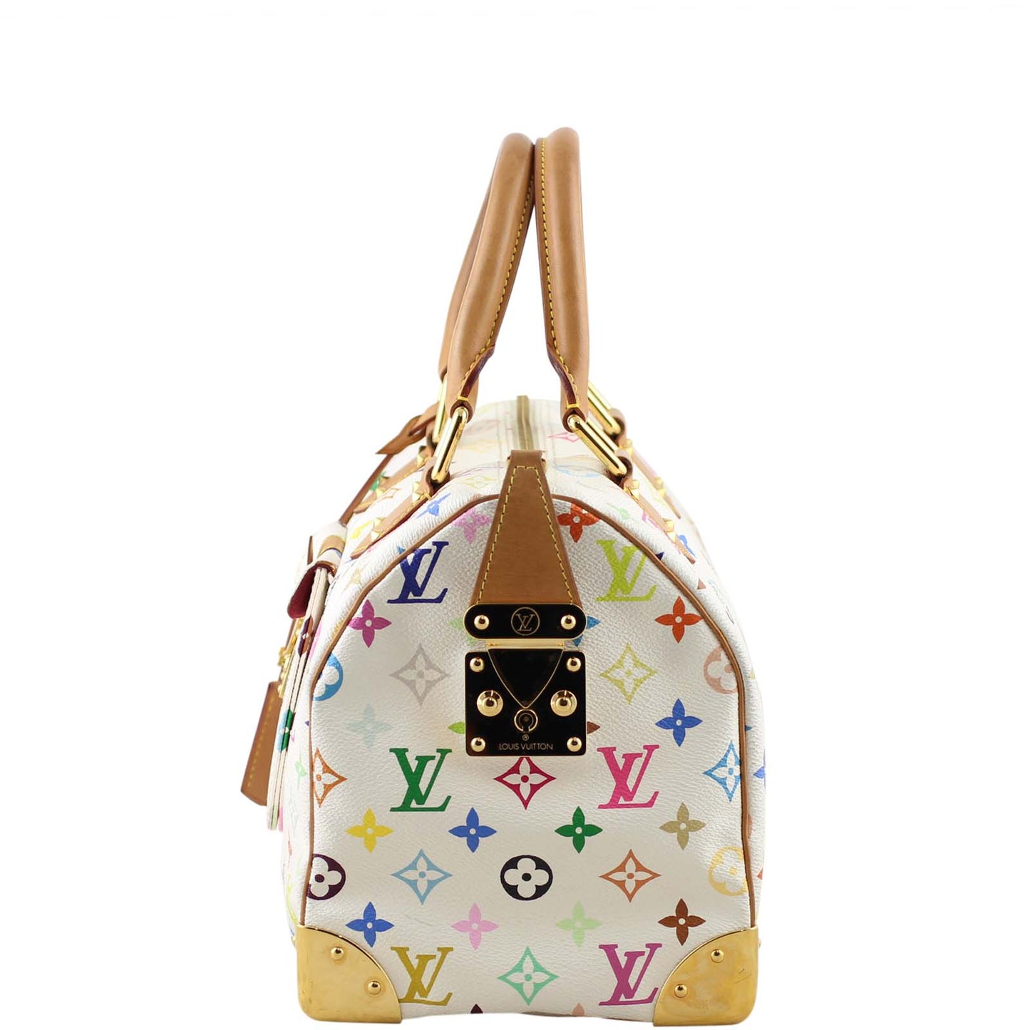 Louis Vuitton Speedy 30 Multicolore