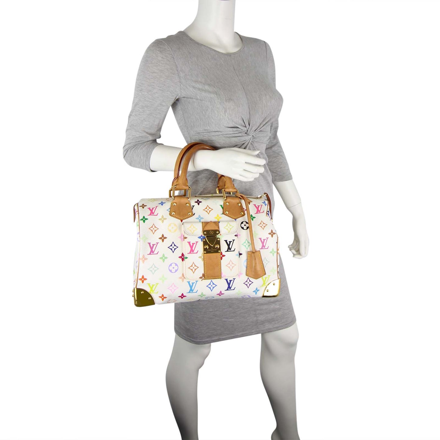 Louis Vuitton Speedy 30 Multicolore