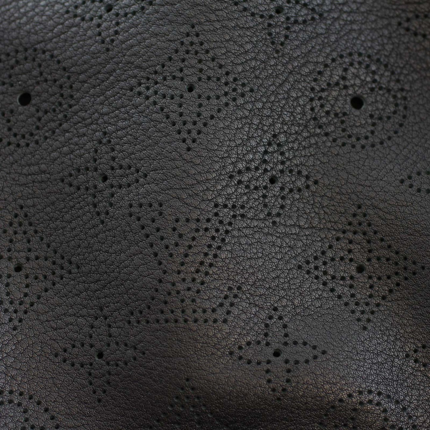 Louis Vuitton Mahina XS