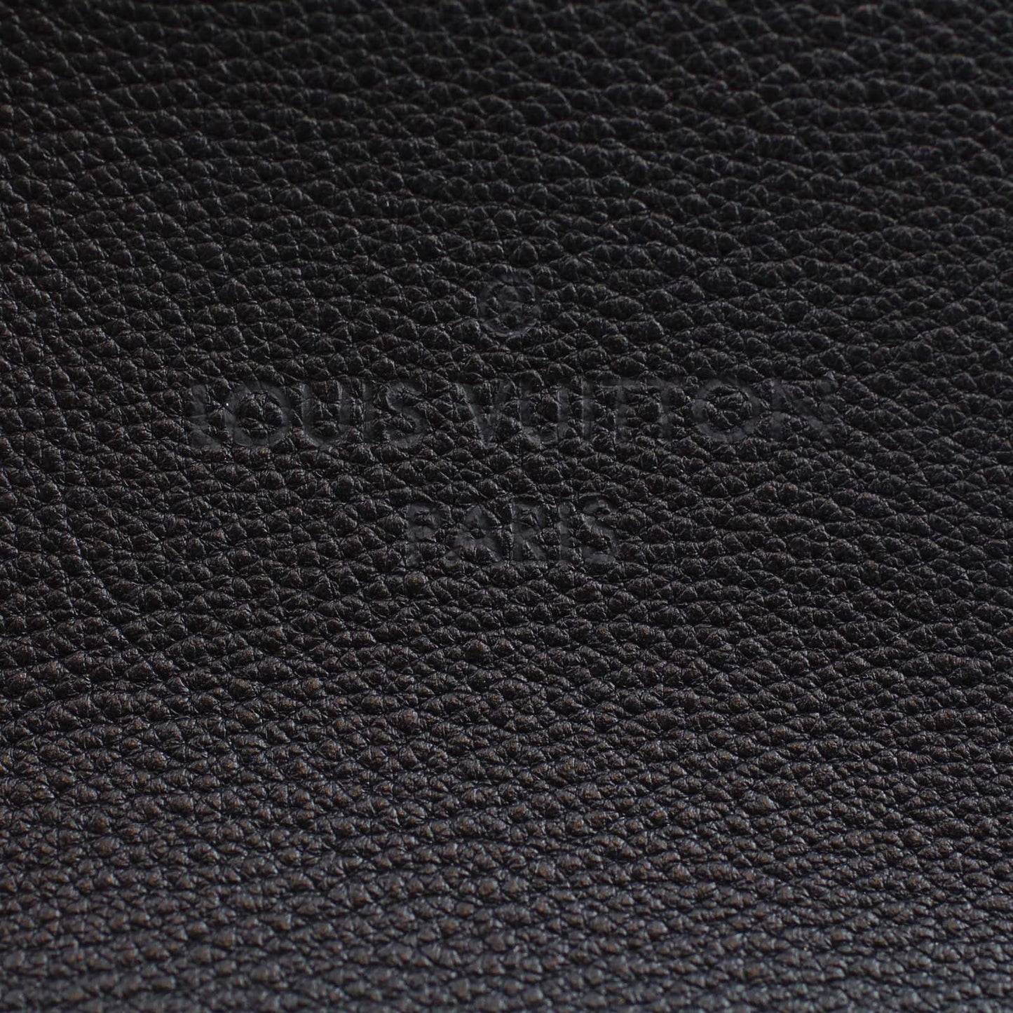 Louis Vuitton Veau Cashemire W Tote PM