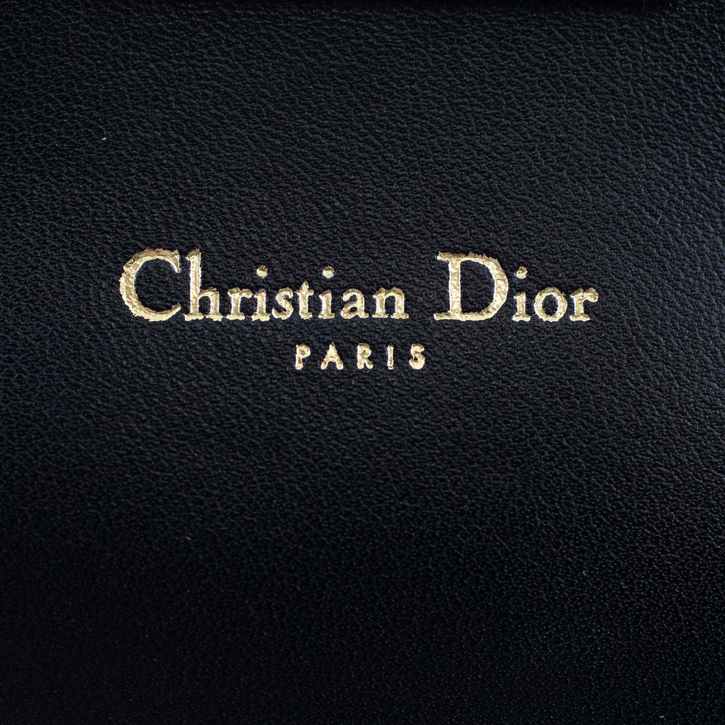 Miss Dior Promenade Pouch