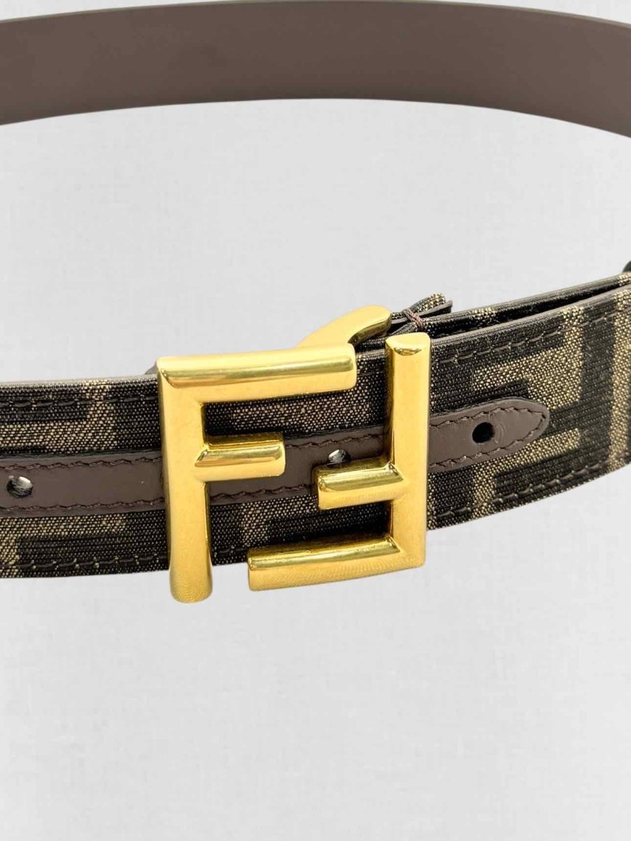 FENDI Brown Belt