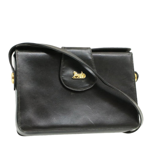 Luxury CELINE Horse Carriage Shoulder Bag Black Leather  rd764
