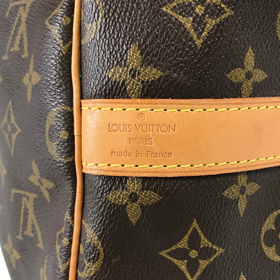 LOUIS VUITTON Boston bag