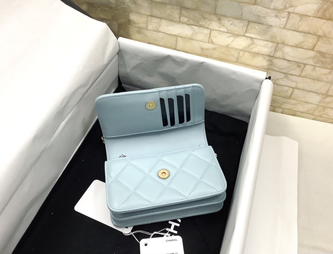 CHLSpring And Summer 22C Turquoise For Women Bags 6.1in/15.5cm